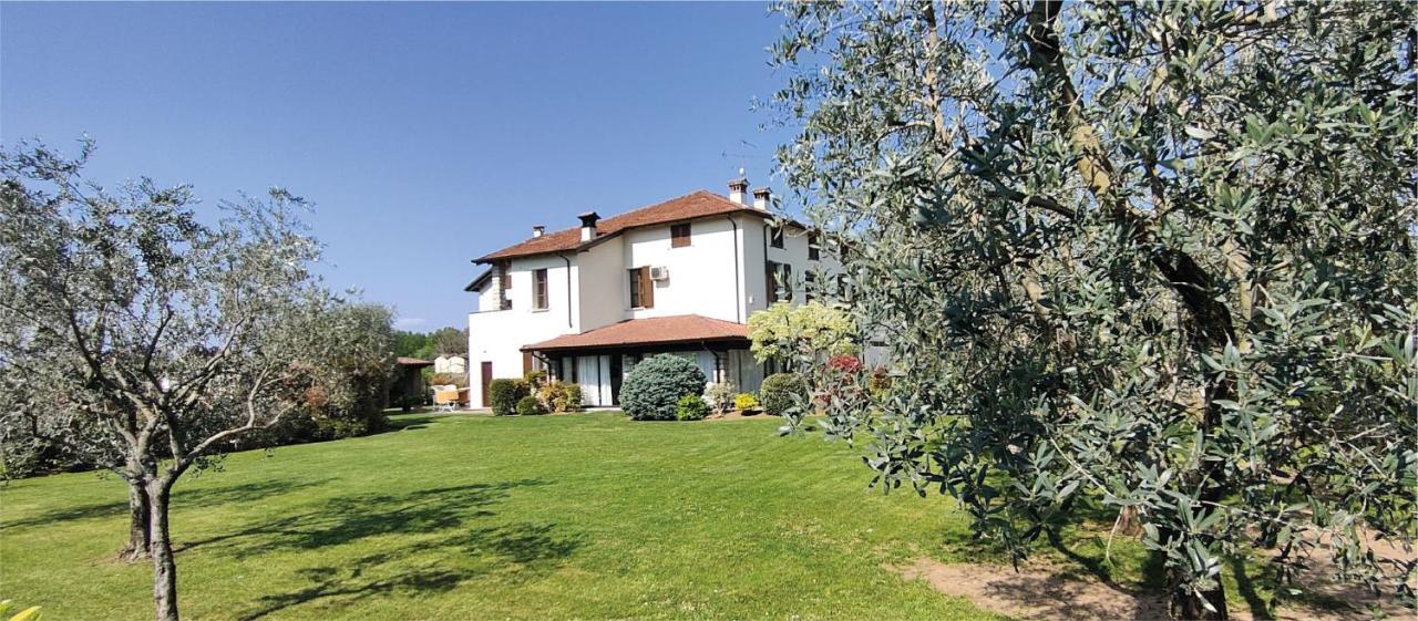 Erilla * Centenaro